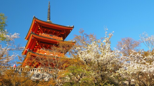 春の清水寺