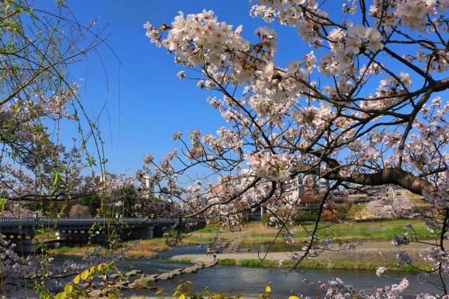 鴨川