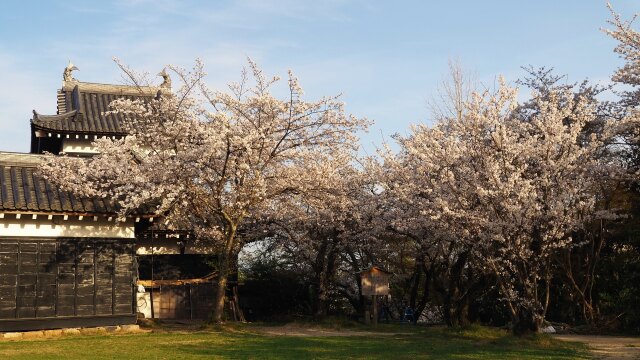 春の郡山城