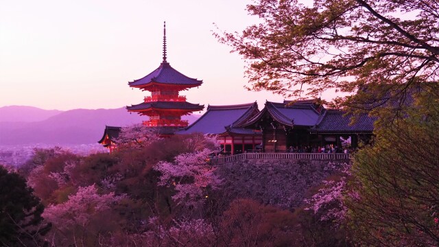 春の清水寺の夕景