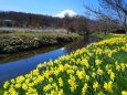 忍野八海23年4月4日