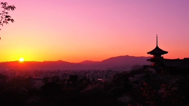 春の清水寺の夕景