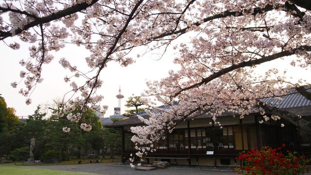 春の渉成園