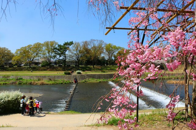 鴨川