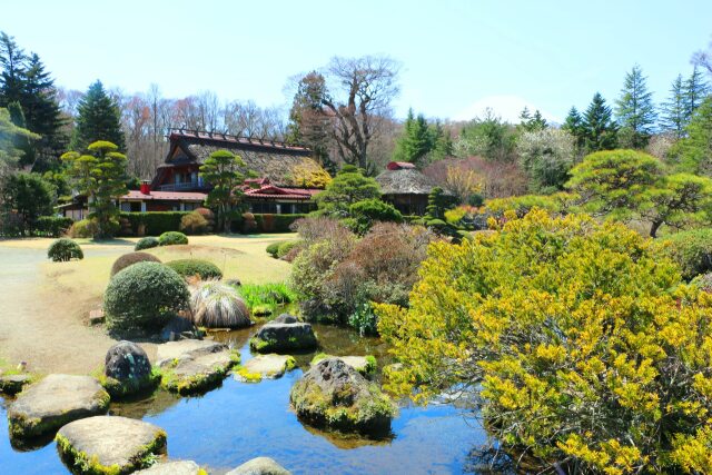 忍野八海23年4月