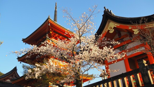 春の清水寺