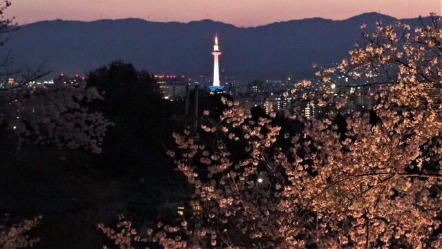 春の夜の清水寺