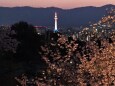 春の夜の清水寺