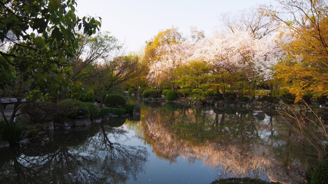 春の東寺