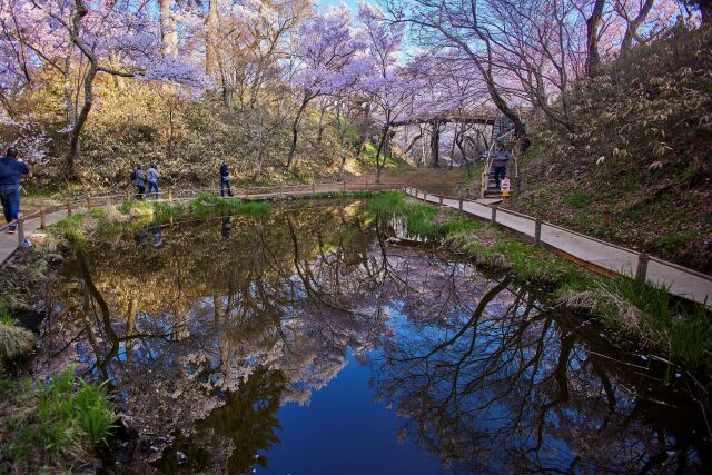 高遠城址公園