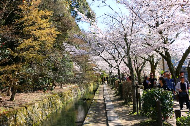 哲学の道