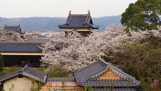 春の郡山城