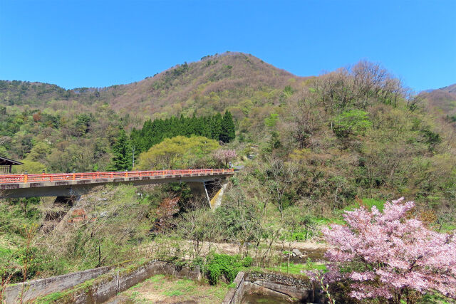 山にも春が