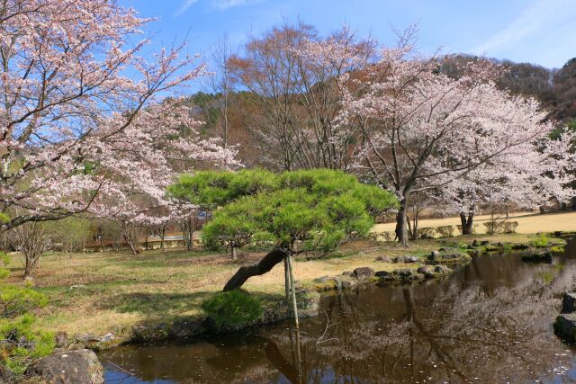 川口湖畔