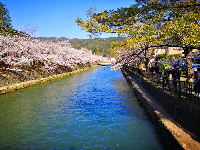 岡崎公園