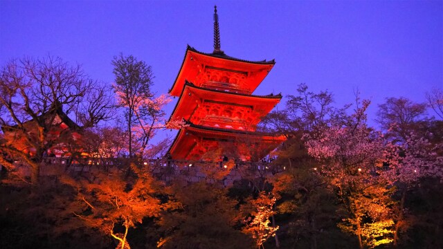 春の夜の清水寺