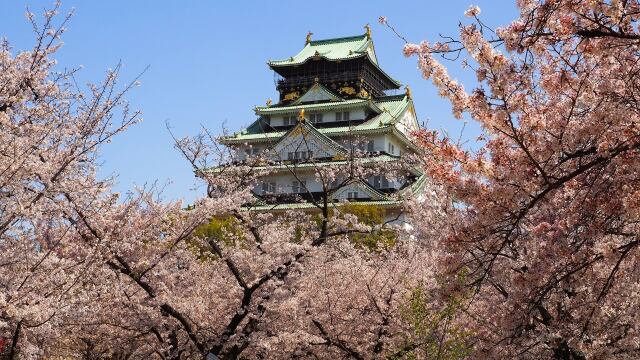 春の大阪城公園