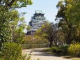 春の大阪城公園