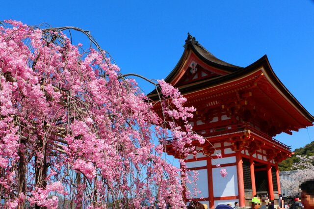 清水寺