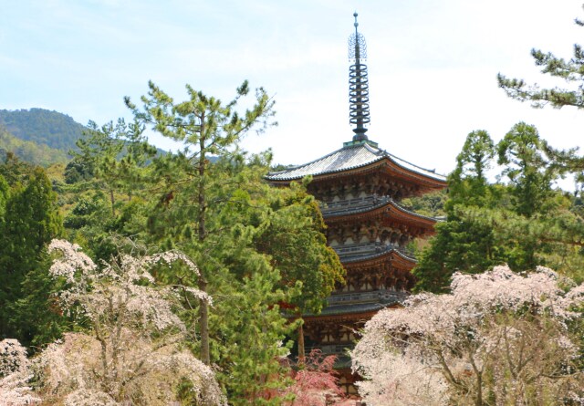 醍醐寺