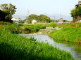 新緑の春の小川