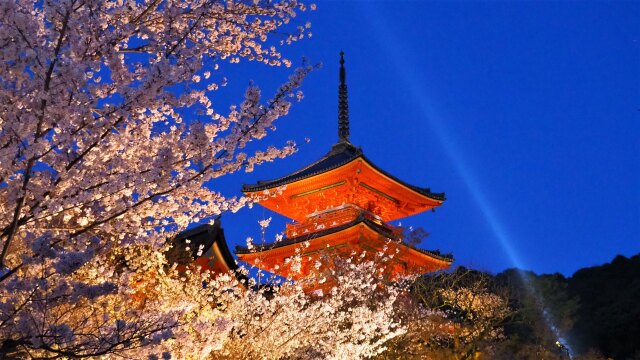 春の夜の清水寺