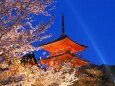 春の夜の清水寺