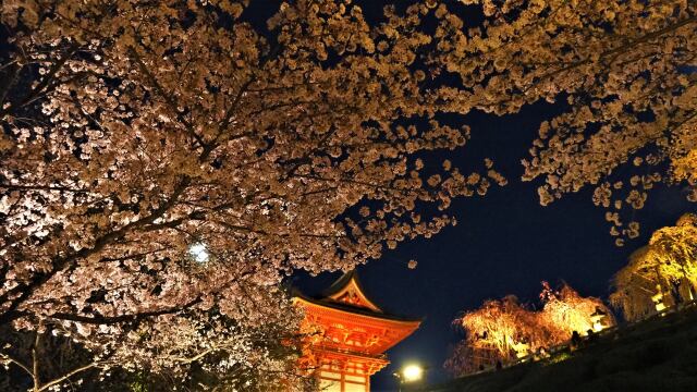 春の夜の清水寺