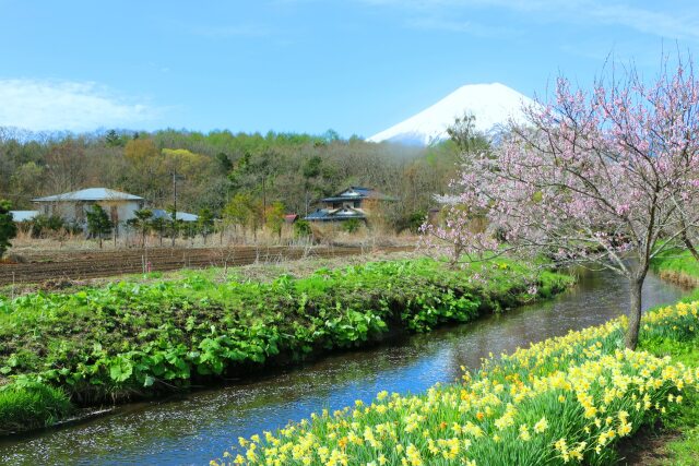 忍野八海