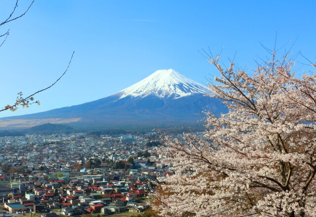 新倉山浅間公園