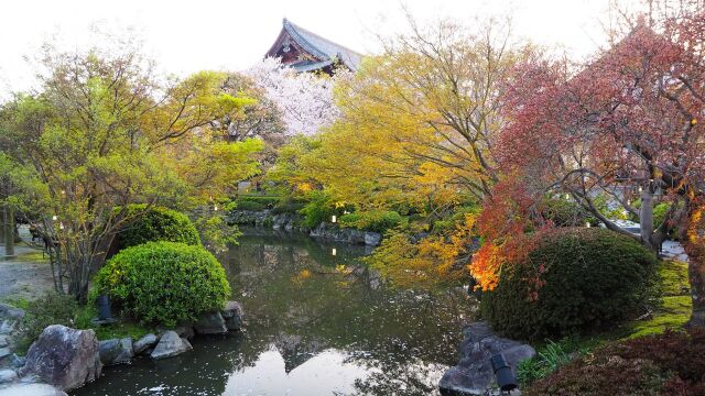 春の東寺