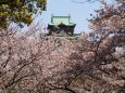 春の大阪城公園