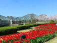 京都府立植物園