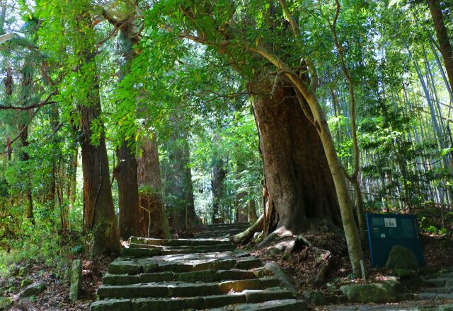 熊野古道大門坂