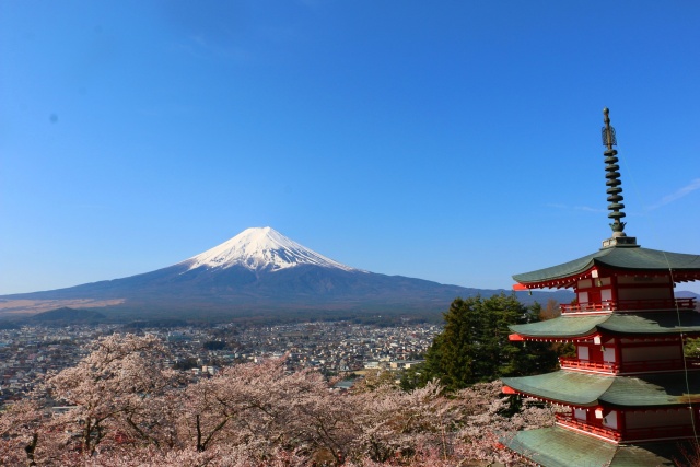 桜と富士山