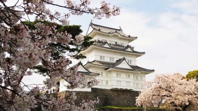 春の小田原城