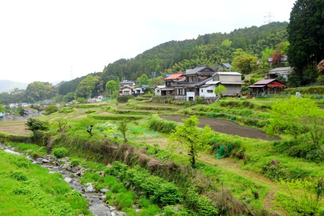 新緑の山村集落