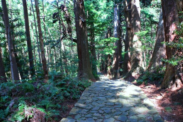 熊野古道大門坂