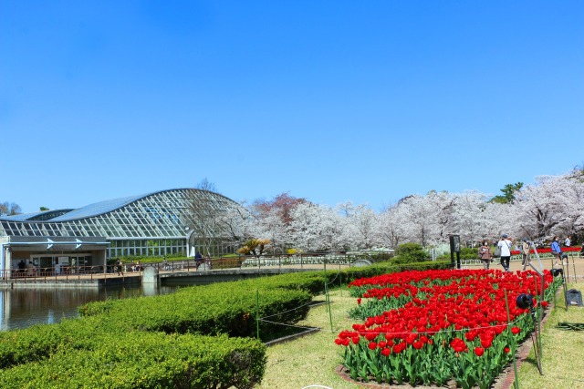 京都府立植物園