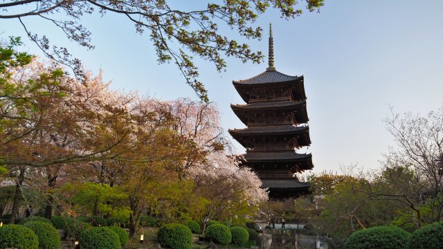 春の東寺