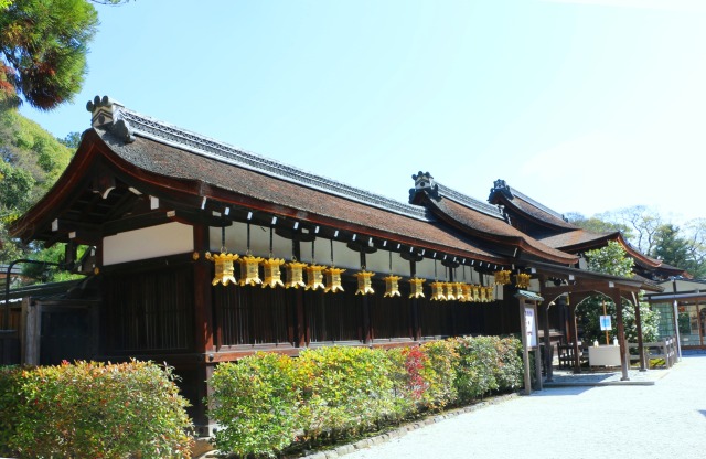 新緑の下鴨神社