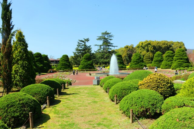 新緑の京都府立植物園