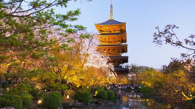 春の夜の東寺