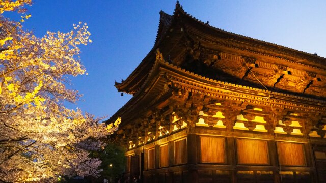 春の夜の東寺