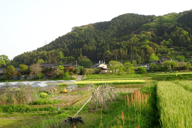 里の春景色