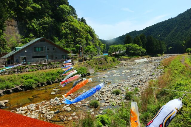 新緑の里山