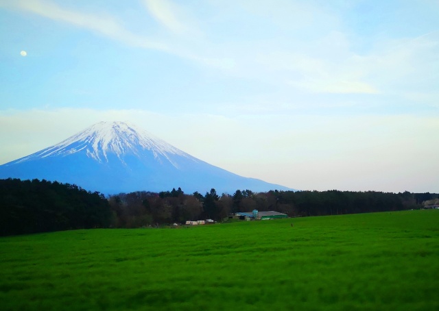 新緑の富士山