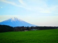 新緑の富士山