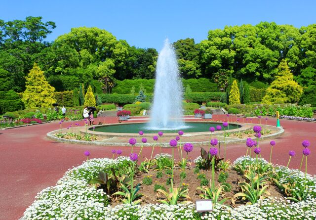 新緑の京都府立植物園