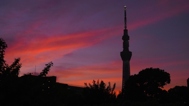 夕暮れのスカイツリー